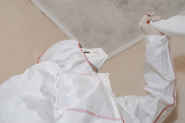 Best Certified Mold Removal  in Mechanicsburg, PA